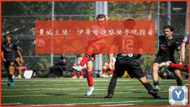 曼城主场：伊蒂哈德球场参观指南